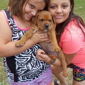 Meet your Posher, Timothy